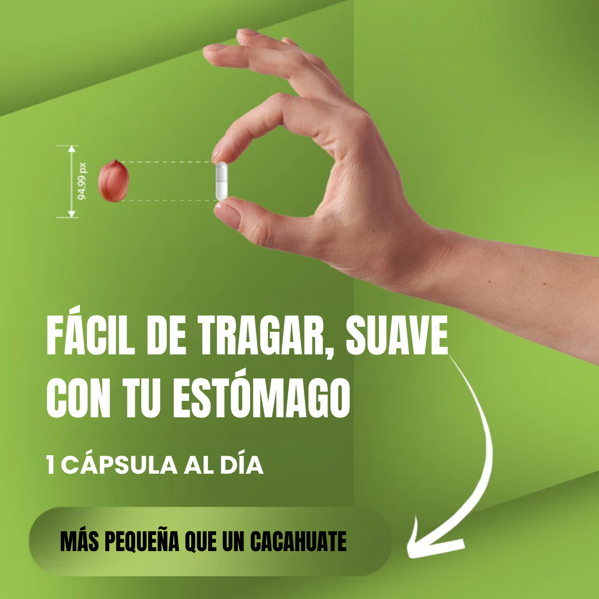 EverVision  - El poder natural detrás de una visión saludable